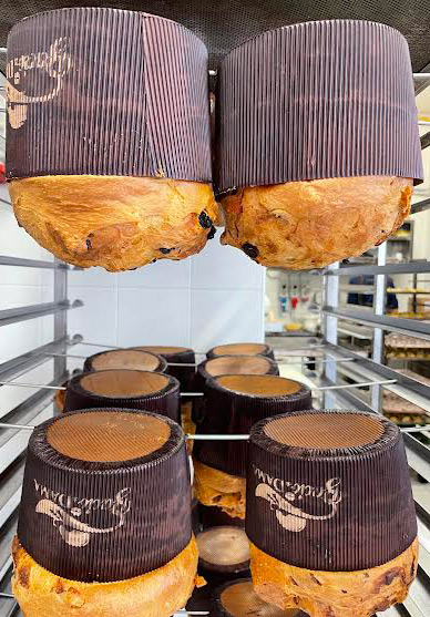 Ogni anno, durante il periodo natalizio, realizziamo panettoni artigianali con un processo di lievitazione che richiede oltre 36 ore. Dalla versione classica con uvetta e canditi alle varianti più creative con cioccolato, pistacchio e altri ingredienti particolari, ogni panettone è un capolavoro di sapore.